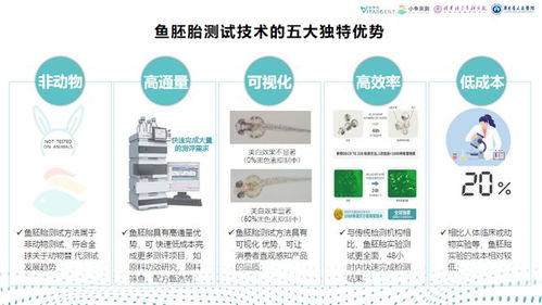 相约2023国际健康与营养保健品展,水中银小鱼亲测助力大健康产业升级