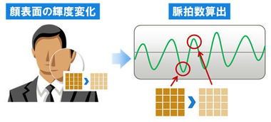 fujitsu 推出面部影像测量脉搏技术,逐步强化云端健康照顾概念